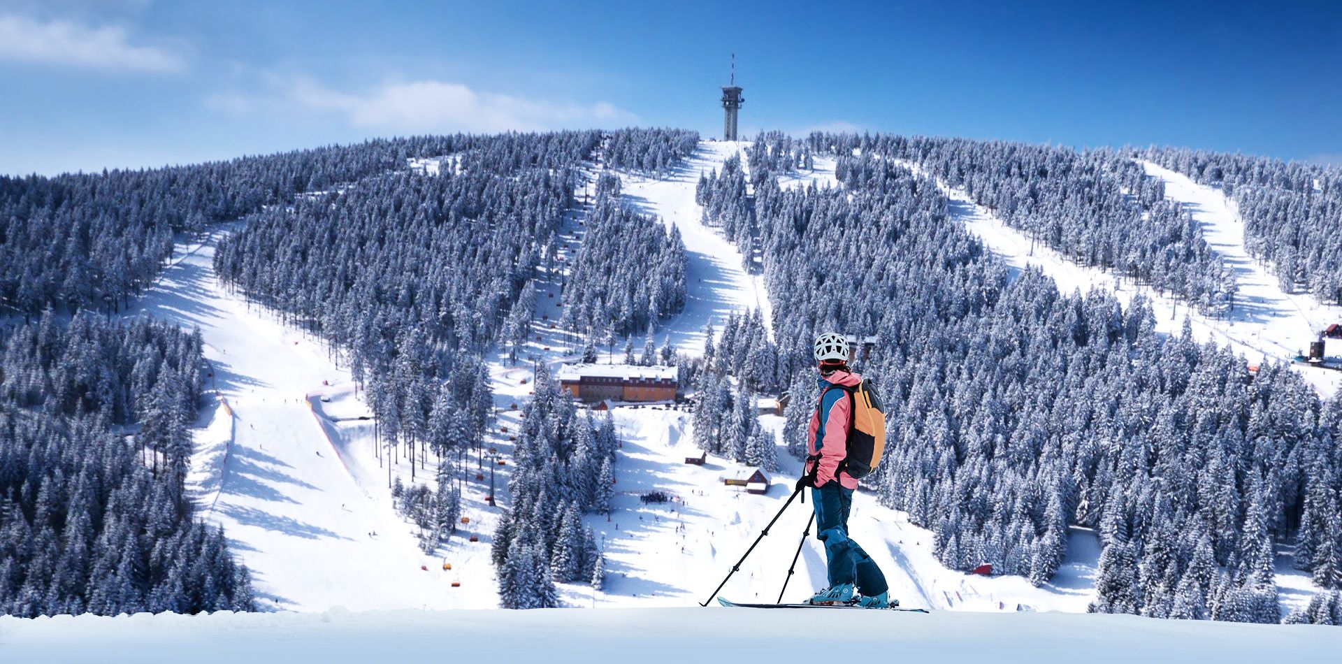 Logo společnosti Mountain ways
